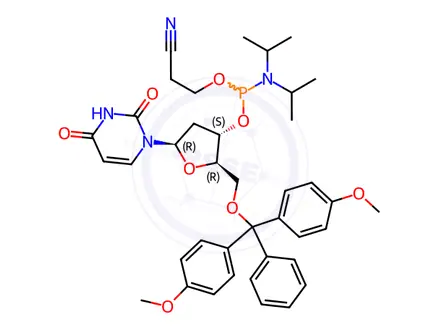 Chemical structure of Dmt-Du Amidite