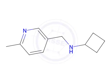 Chemical structure of N-((6-methylpyridin-3-yl)methyl)cyclobutanamine