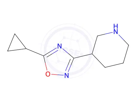 Chemical structure of 5-cyclopropyl-3-(3-piperidyl)-1,2,4-oxadiazole
