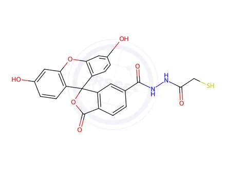 Chemical structure of 3',6'-dihydroxy-3-oxospiro-(isobenzofuran-1(3H),9'-9H-xanthene)-6-carboxylic acid 2-(mercaptoacetyl)hydrazide