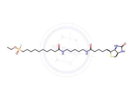 Chemical structure of FP-Biotin