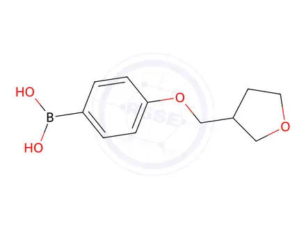 Chemical structure of [4-(oxolan-3-ylmethoxy)phenyl]boronic acid