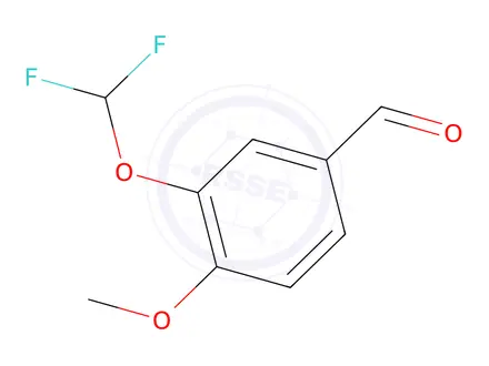 Chemical structure of 3-Difluoromethoxy-4-methoxybenzaldehyde