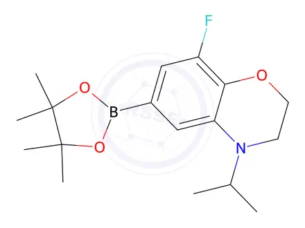 Chemical structure of 8-Fluoro-4-isopropyl-6-(4,4,5,5-tetramethyl-1,3,2-dioxaborolan-2-yl)-3,4-dihydro-2H-benzo[b][1,4]oxazine