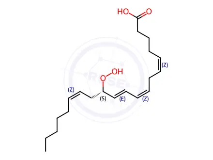 Chemical structure of 12(S)-HPETE