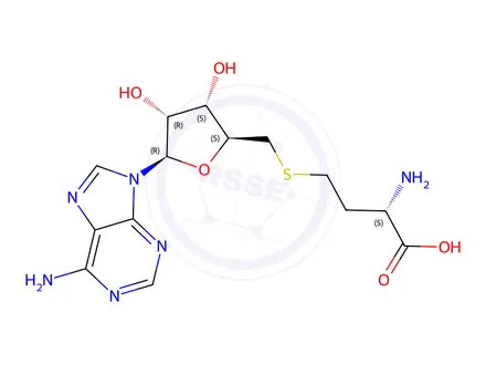Chemical structure of S-adenosyl-L-homocysteine