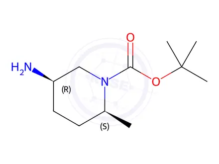 Chemical structure of tert-Butyl (2S,5R)-5-amino-2-methylpiperidine-1-carboxylate