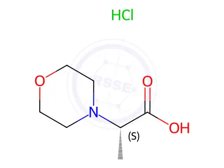 Chemical structure of (S)​-​2-​Morpholin-​4-​yl-​propionic acid hydrochloride