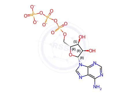 Chemical structure of Adenosine 5'-triphosphate Magnesium Salt