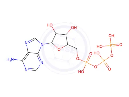 Chemical structure of R-Phycoerythrin