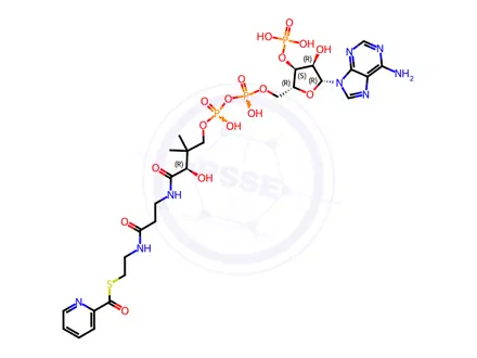 Chemical structure of Coenzyme A Impurity 41 (Pyridine-2-carboxyloyl CoA)