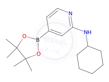 Chemical structure of N-cyclohexyl-4-(4,4,5,5-tetramethyl-1,3,2-dioxaborolan-2-yl)pyridin-2-amine