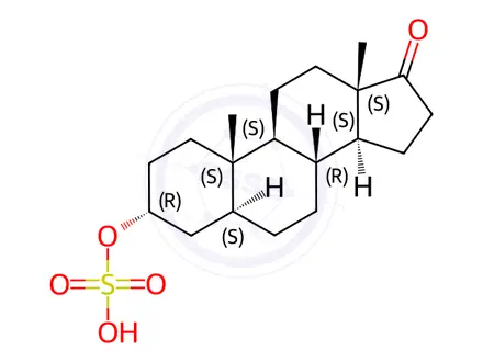 Chemical structure of Androsterone sulfate