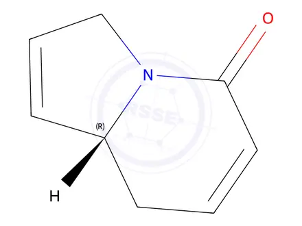 Chemical structure of 5(3H)-Indolizinone,8,8a-dihydro-,(R)-(9CI)