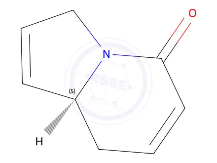 Chemical structure of 5(3H)-Indolizinone,8,8a-dihydro-,(8aS)-(9CI)