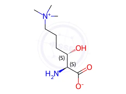 Chemical structure of 3S-Hydroxy-N6,N6,N6-trimethyl-L-lysine Inner Salt (~90%)