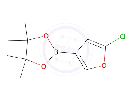 Chemical structure of 2-(5-Chlorofuran-3-yl)-4,4,5,5-tetramethyl-1,3,2-dioxaborolane