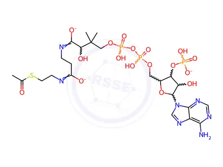 Chemical structure of Acetyl Coenzyme A Trisodium Salt