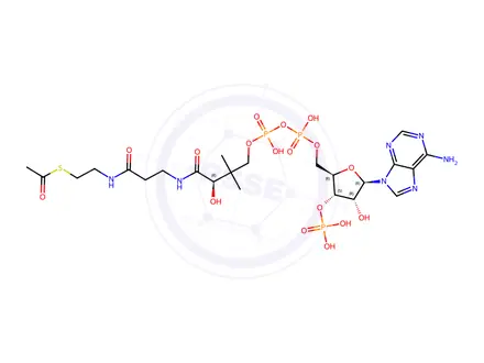 Chemical structure of Xanomeline Impurity 102