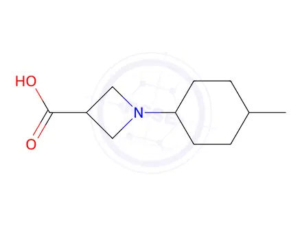 Chemical structure of 1-(4-methylcyclohexyl)azetidine-3-carboxylic acid