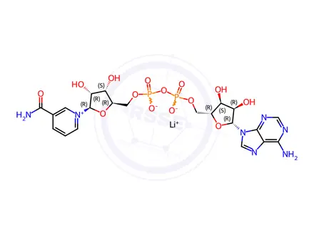 Chemical structure of β-Nicotinamide Adenine Dinucleotide Lithium Salt