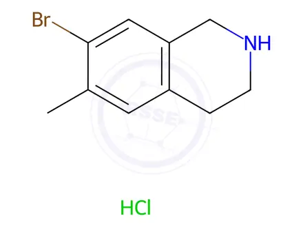 Chemical structure of ISOQUINOLINE, 7-BROMO-1,2,3,4-TETRAHYDRO-6-METHYL-, HYDROCHLORIDE