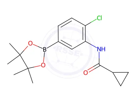 Chemical structure of N-(2-chloro-5-(4,4,5,5-tetramethyl-1,3,2-dioxaborolan-2-yl)phenyl)cyclopropanecarboxamide