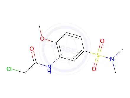 Chemical structure of 2-Chloro-N-[5-(Dimethylsulfamoyl)-2-Methoxyphenyl]Acetamide
