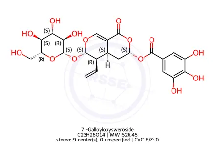 Chemical structure of 7α-Galloyloxysweroside