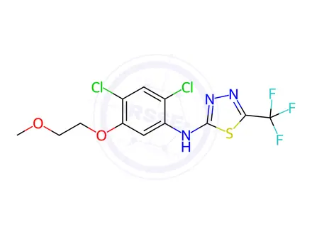 Chemical structure of N-(2,4-dichloro-5-(2-methoxyethoxy)phenyl)-5-(trifluoromethyl)-1,3,4-thiadiazol-2-amine