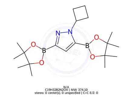 Chemical structure of 1-Cyclobutyl-3,5-bis(4,4,5,5-tetramethyl-1,3,2-dioxaborolan-2-yl)-1H-pyrazole
